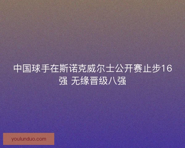 中国球手在斯诺克威尔士公开赛止步16强 无缘晋级八强